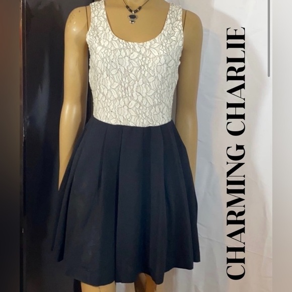 Charming Charlies Fit & Flare Ivory & Wine Dress - Picture 7 of 8